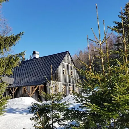 Alpehytte U Lesa - Janov nad Nisou