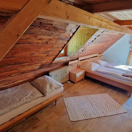 Chalet U Lesa - *