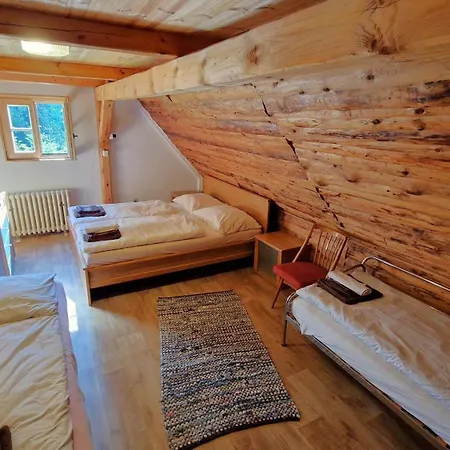 U Lesa - Chalet Janov nad Nisou